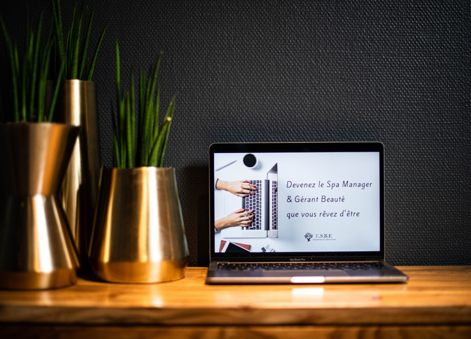 Formations Vente, Marketing, Management Spa & Institut de Beauté