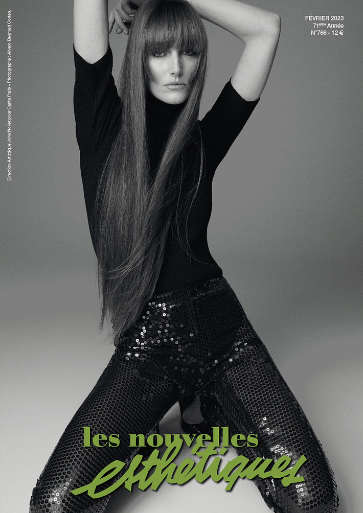 Article les nouvelles esthétiques